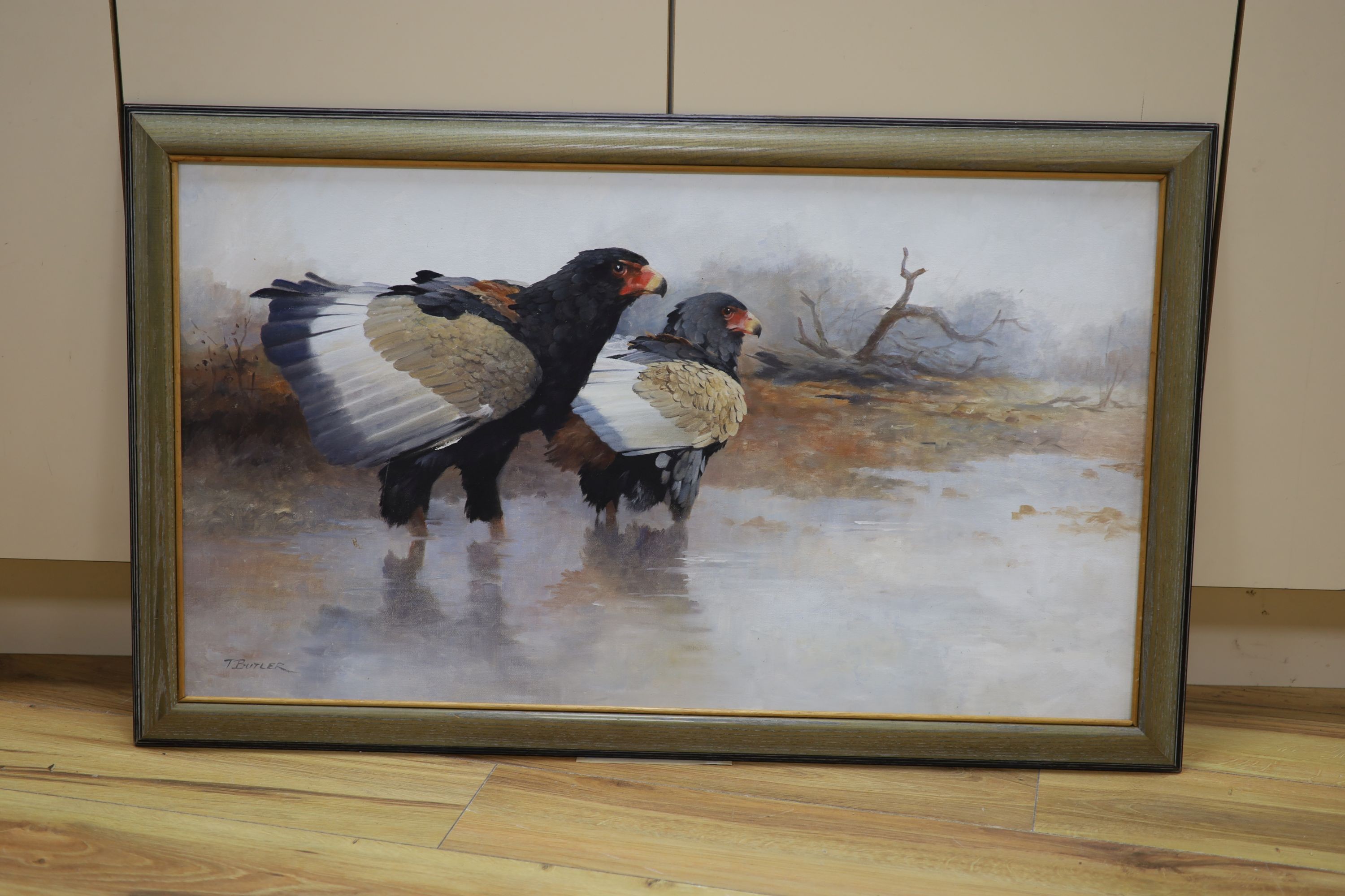 Tony Butler (1945-), oil on board, Startled Bateleur Eagles, signed with Tryon Gallery label verso, 50 x 89cm